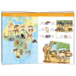 Puzzle Djeco 5 Ans Animaux Du Monde 100 Pièces -Enfants Jouets Magasin puzzle animaux du monde 100 pieces 2